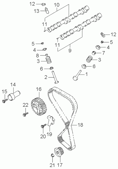 KIA 24312 38220 - Timing Belt www.parts5.com