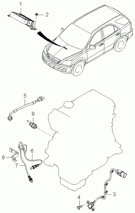 Hyundai 3921038405 - Sonda Lambda www.parts5.com