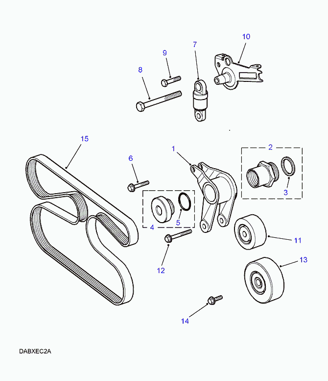 MG STC 4455 - Pasek klinowy wielorowkowy www.parts5.com