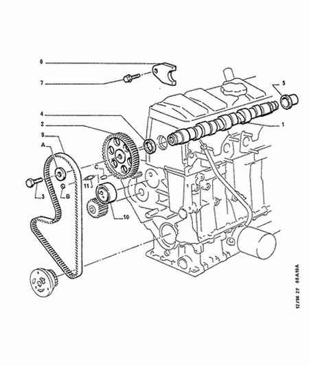 CITROËN 0816.56 - Zupčasti kaiš www.parts5.com