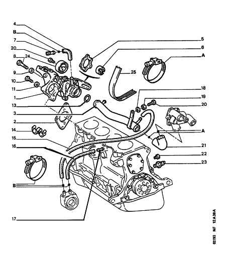 CITROËN 1280 19 - Klinasti rebrasti remen www.parts5.com