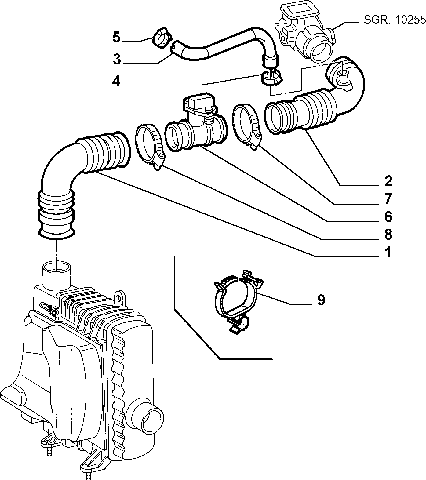 FIAT 13126170 - Žarnica www.parts5.com