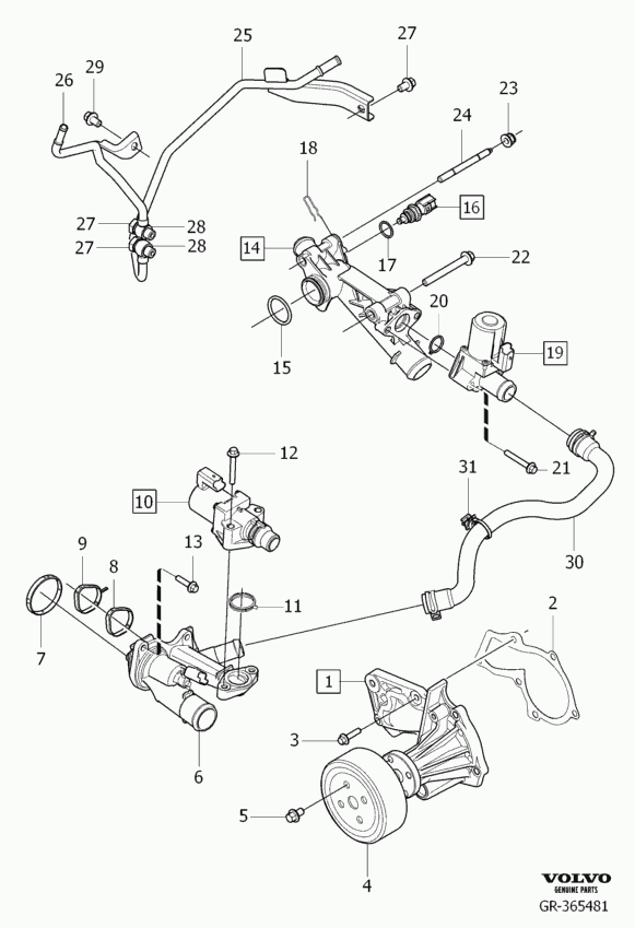 Volvo 31 216 202 - Junta, bomba de agua www.parts5.com